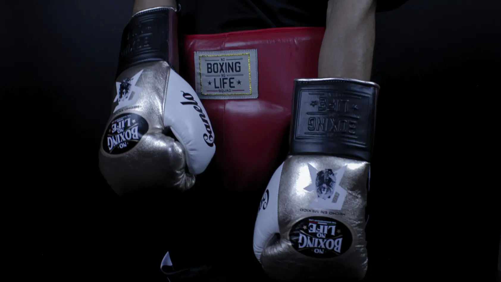 Home | No Boxing No Life