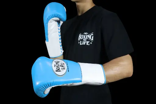 Home | No Boxing No Life