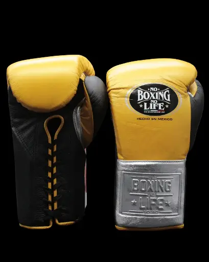 Home | No Boxing No Life