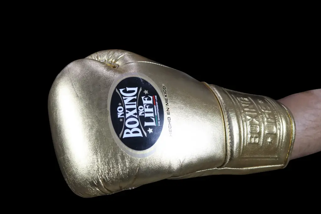 Metallic 16 oz- Guantes Para Entrenamiento 