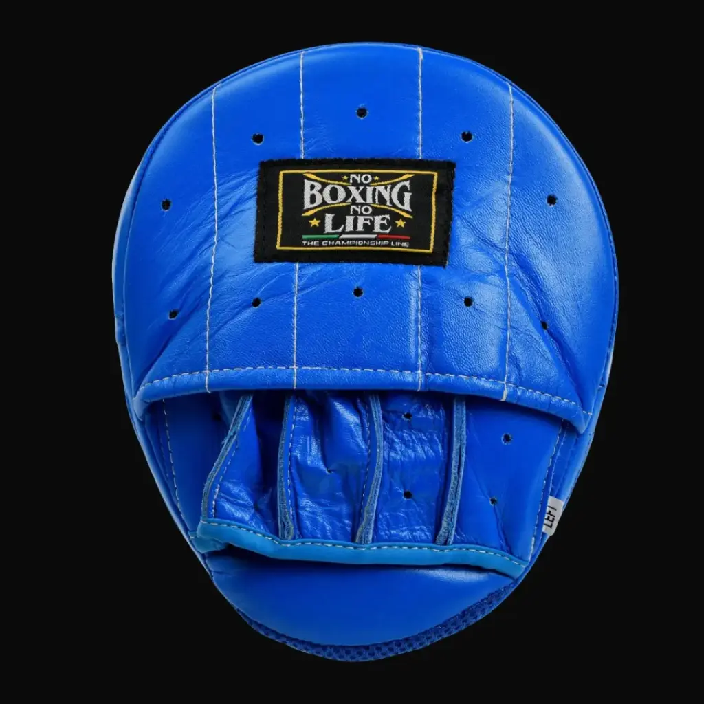 Leather Mitts – No Boxing No Life