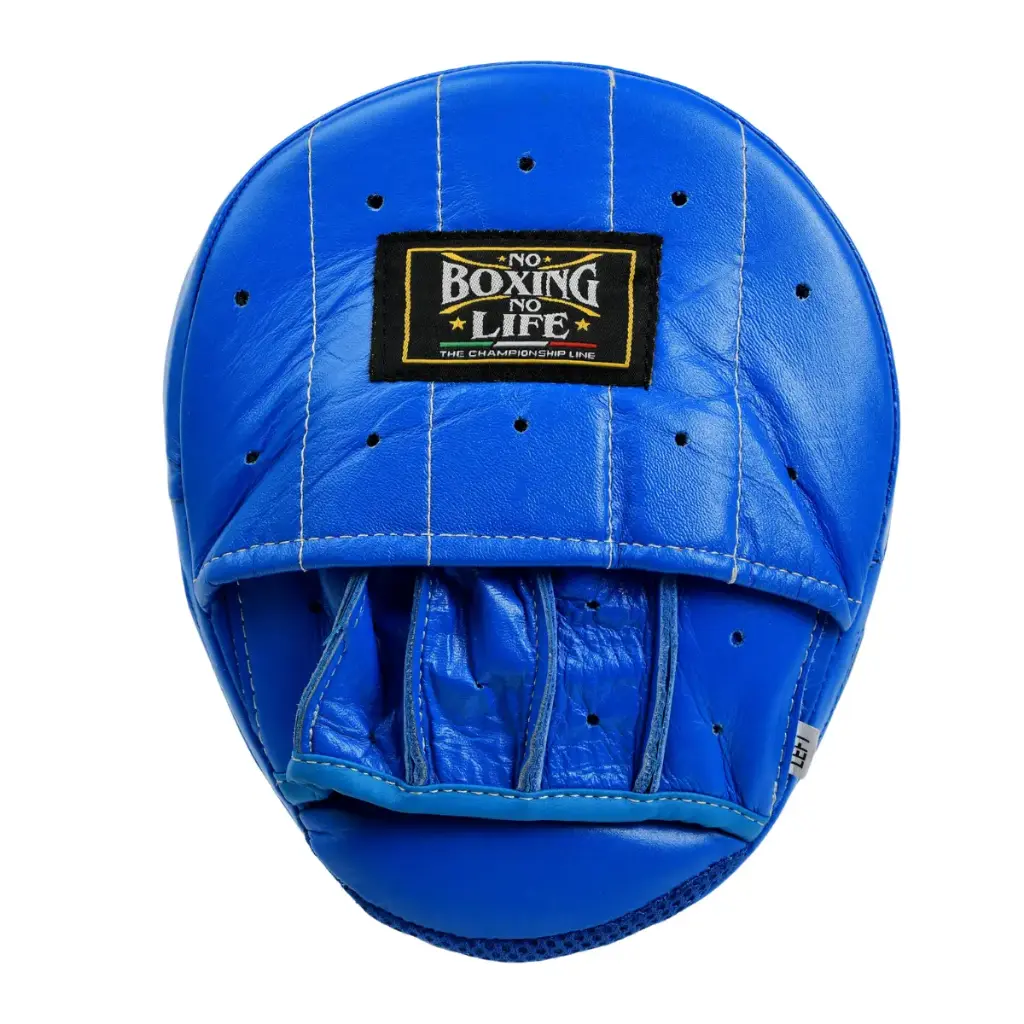 Leather Mitts – No Boxing No Life