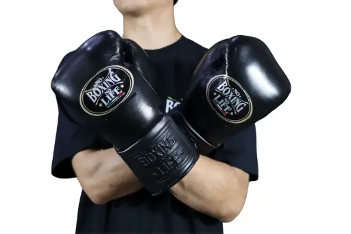 Home | No Boxing No Life