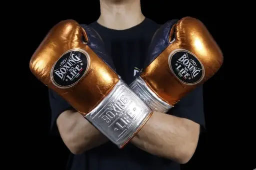 Home | No Boxing No Life