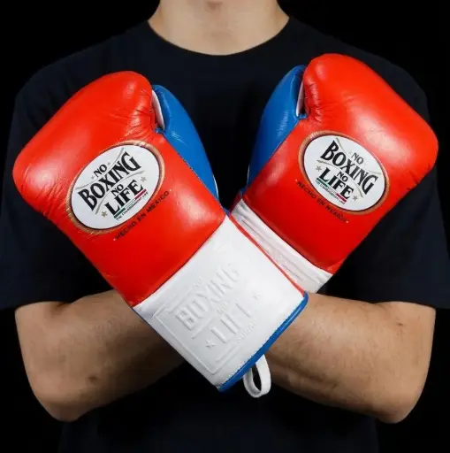 Home | No Boxing No Life