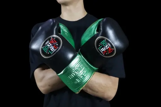 Home | No Boxing No Life