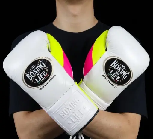 Home | No Boxing No Life