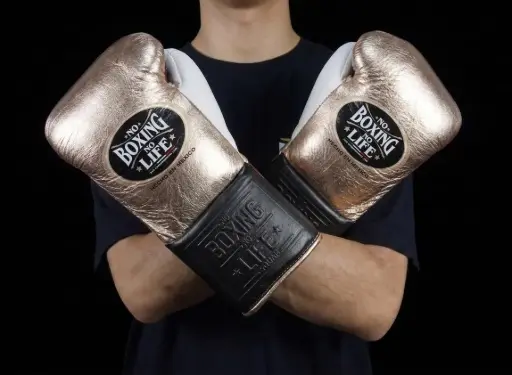 Home | No Boxing No Life