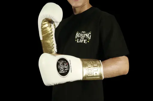 Home | No Boxing No Life