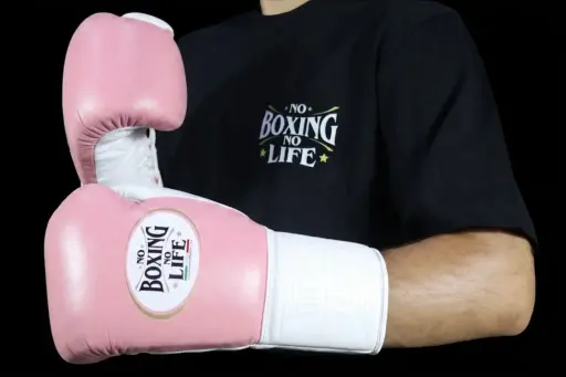 Home | No Boxing No Life