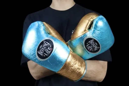 Home | No Boxing No Life
