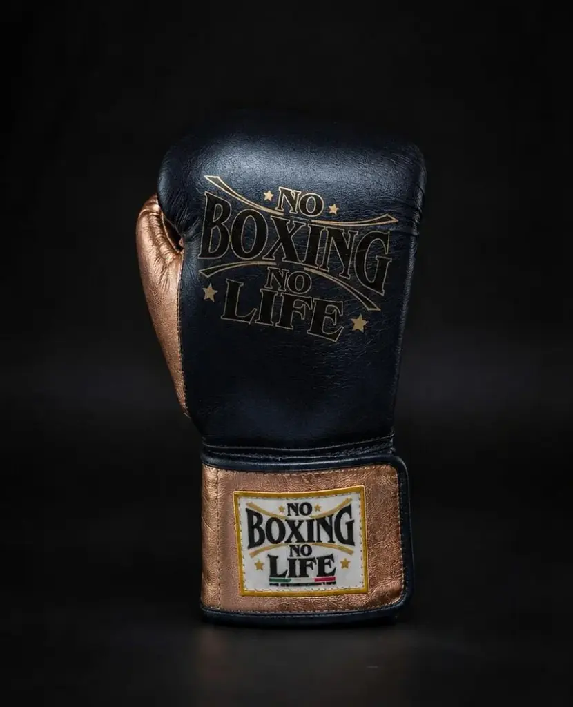 Guantes 6 oz - Para Niño