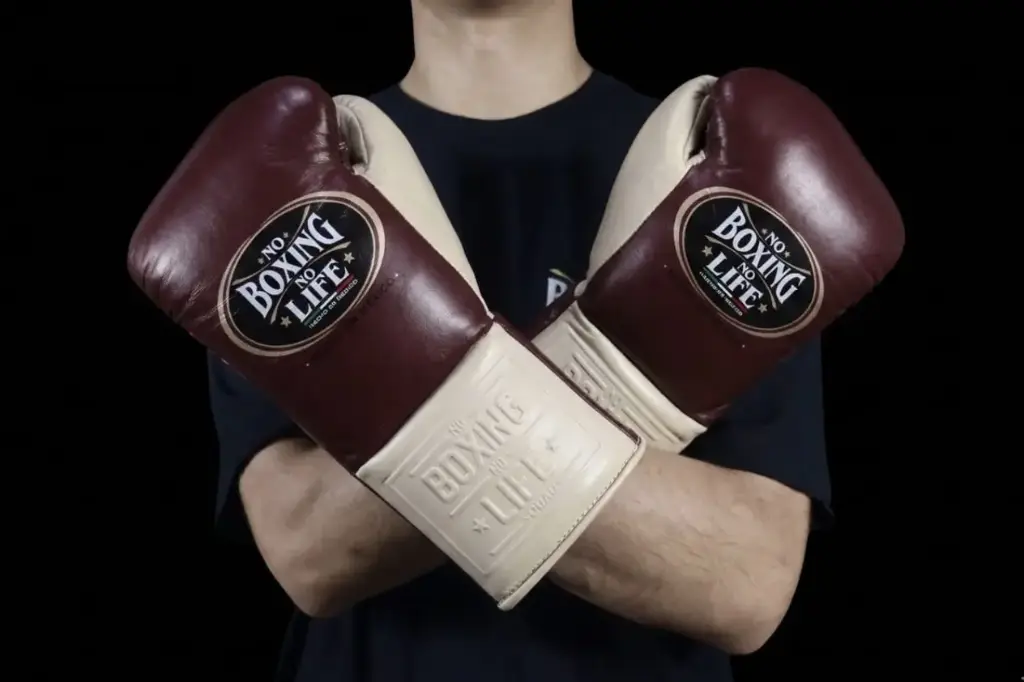 Boxing Gloves  Burgundy