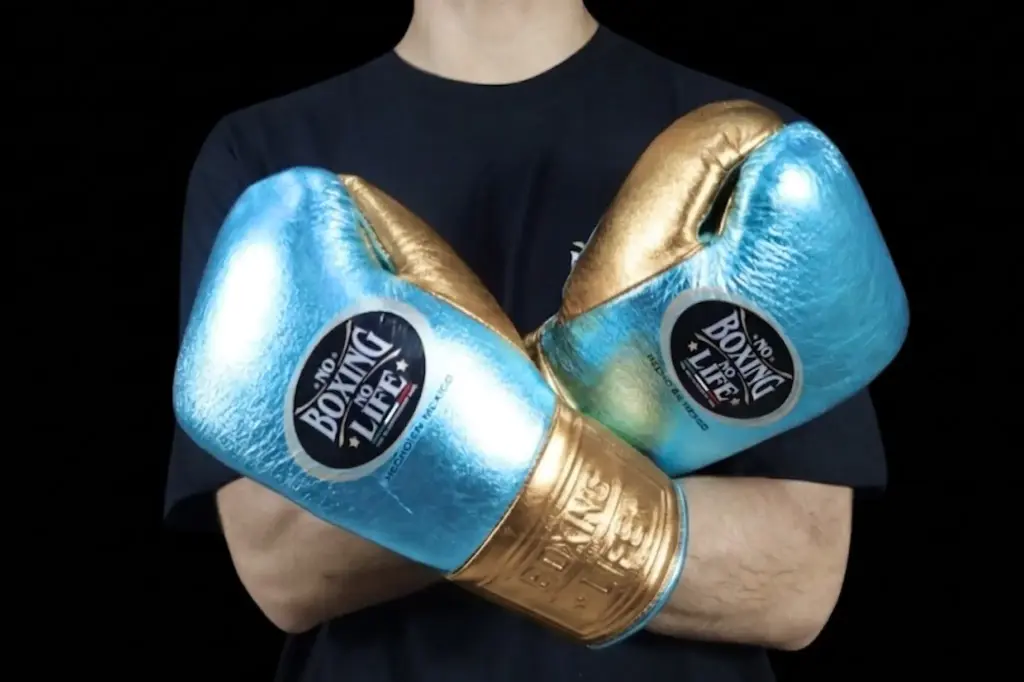 Boxing Gloves Aqua & Gold 