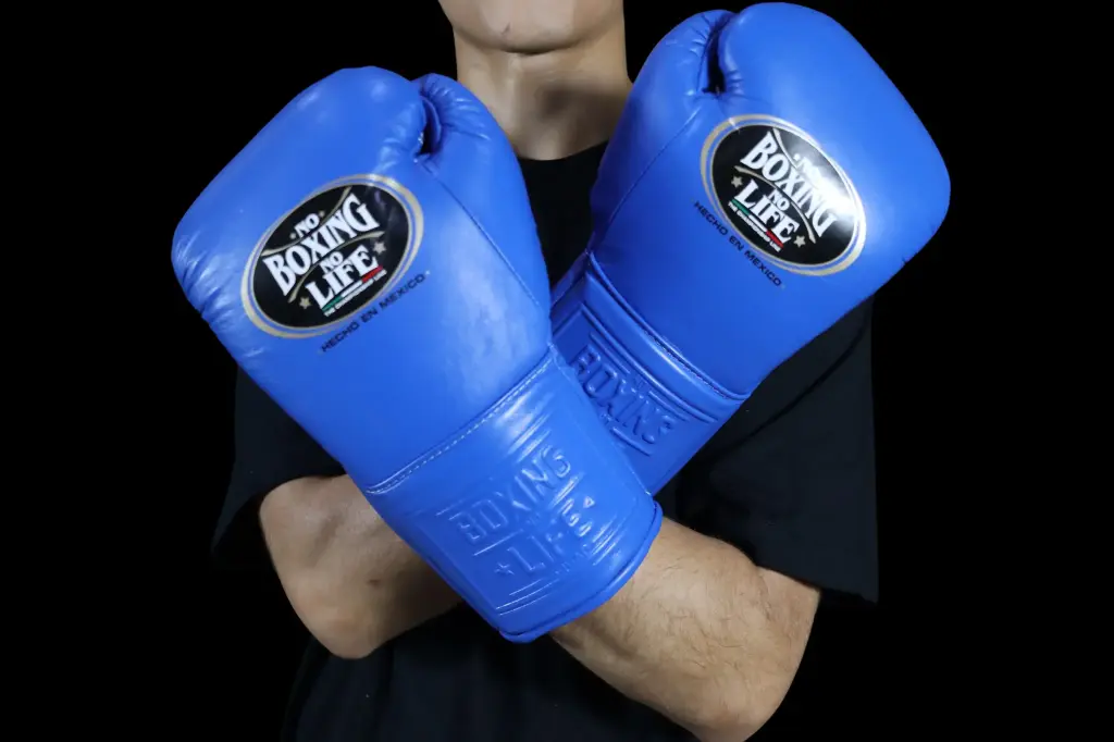 Boxing Gloves Royal Blue