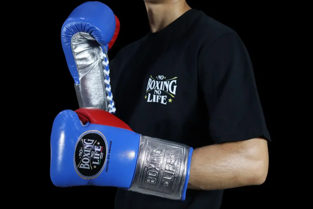 Boxing Gloves Royal Chrome