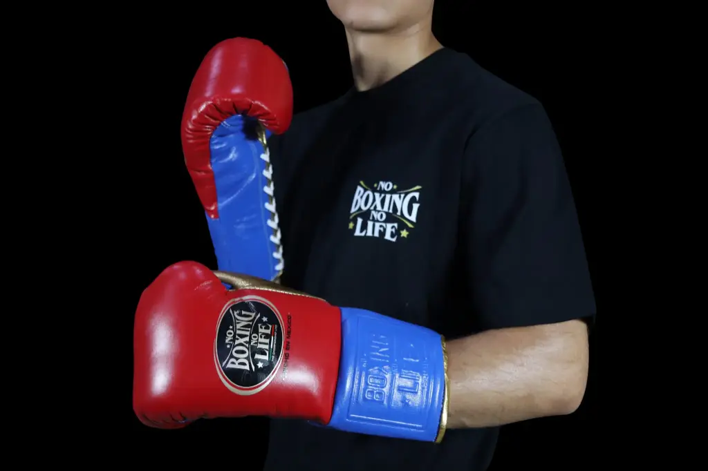 Boxing Gloves Scarlet Royal
