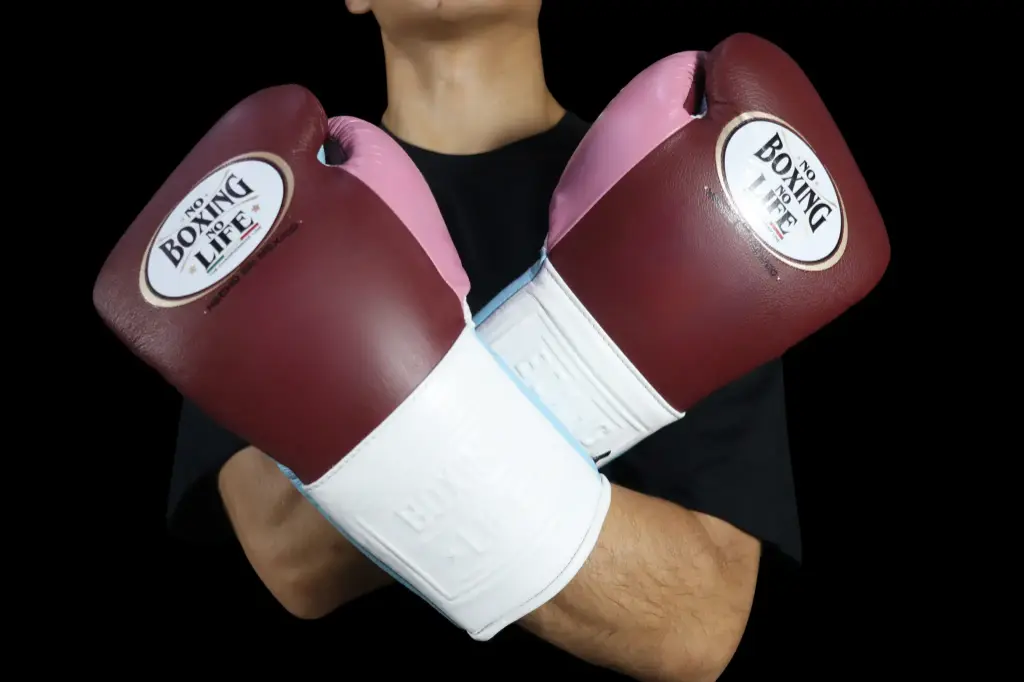 Boxing Gloves Burgundy Blush