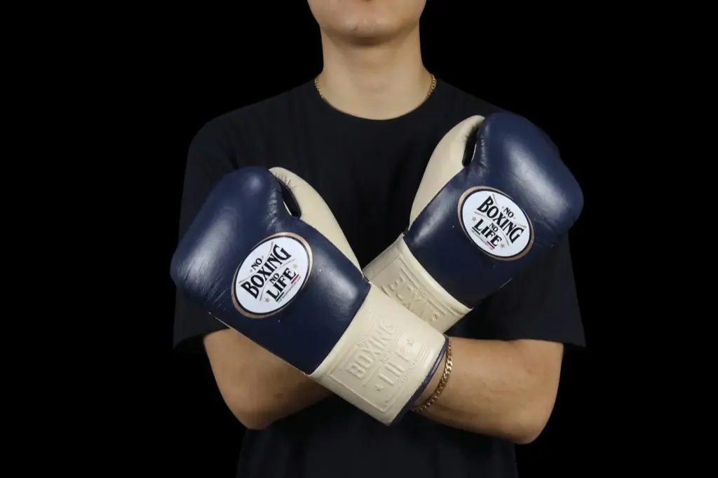 Boxing Gloves Navy Cream