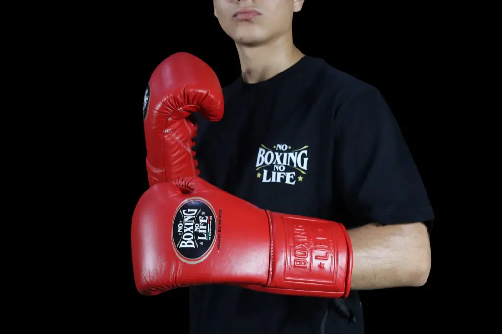 Boxing Gloves Scarlett