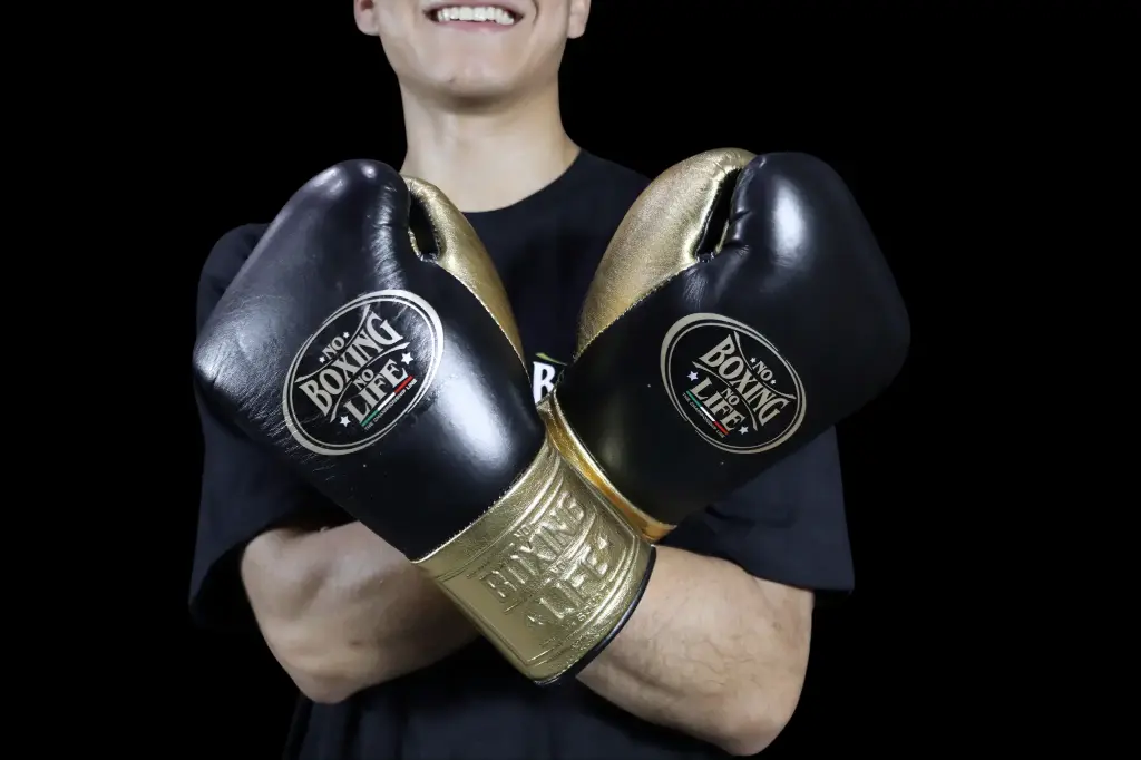 Boxing Gloves Black & Gold 