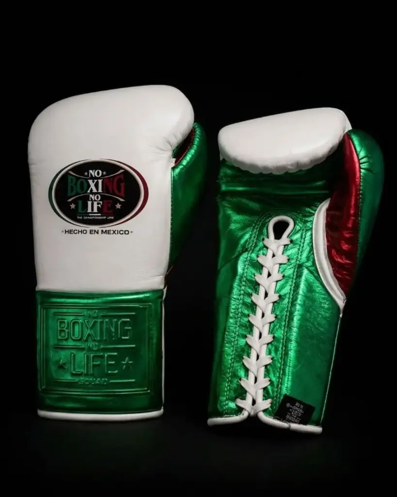 Boxing Gloves Tricolor