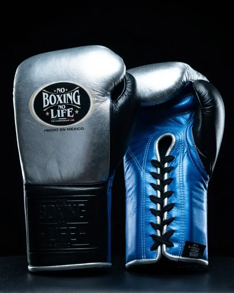 Boxing Gloves Arctic Blue