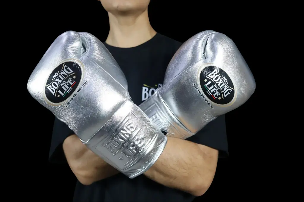 Boxing Gloves Silver 