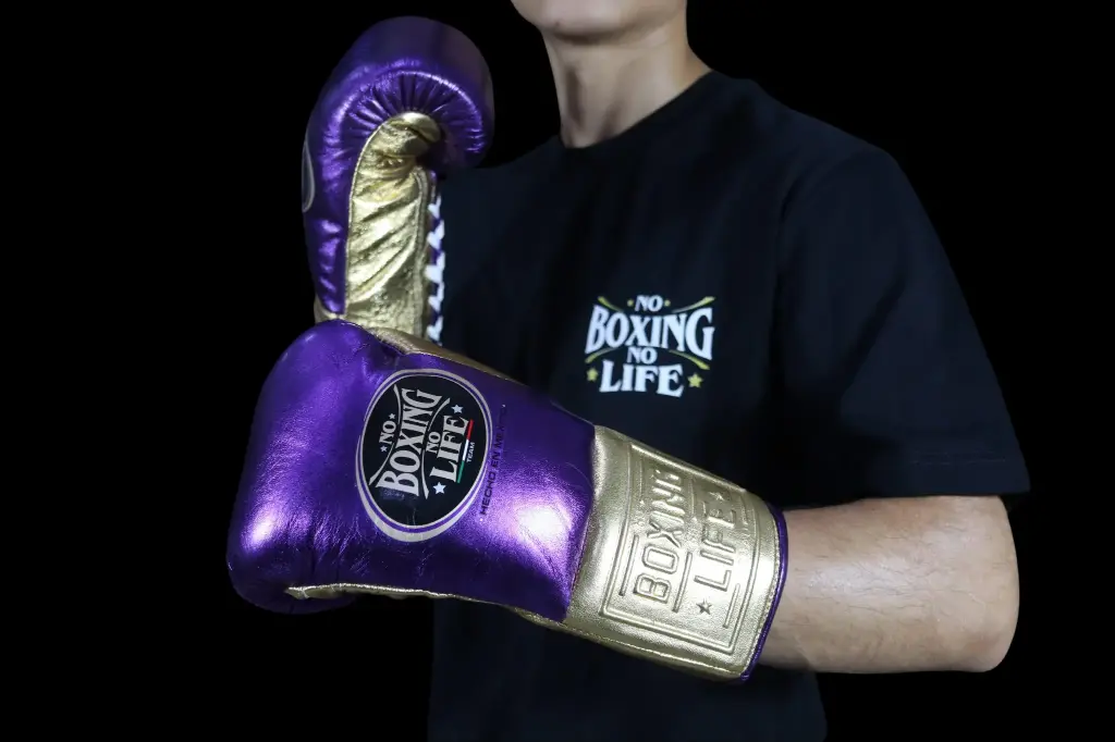 Boxing Gloves 