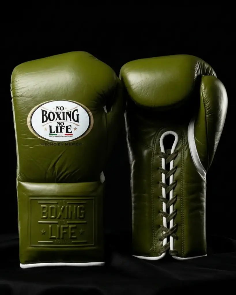 Boxing Gloves 