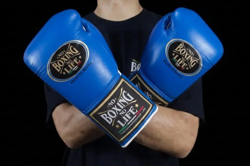 Boxing Gloves Blue Classic