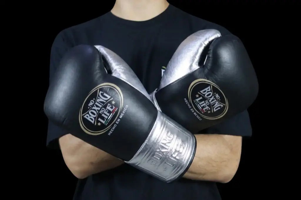 Boxing Gloves Black & Silver