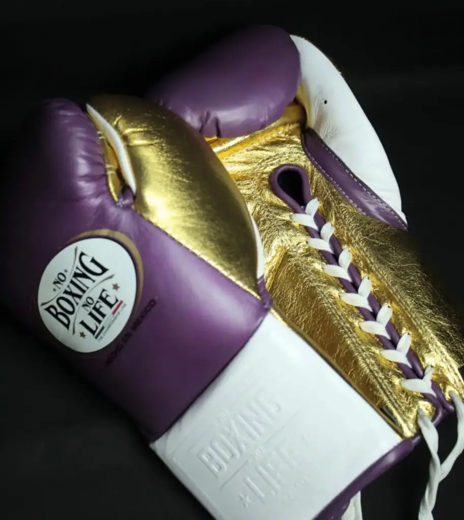 Boxing Gloves Violet & Gold