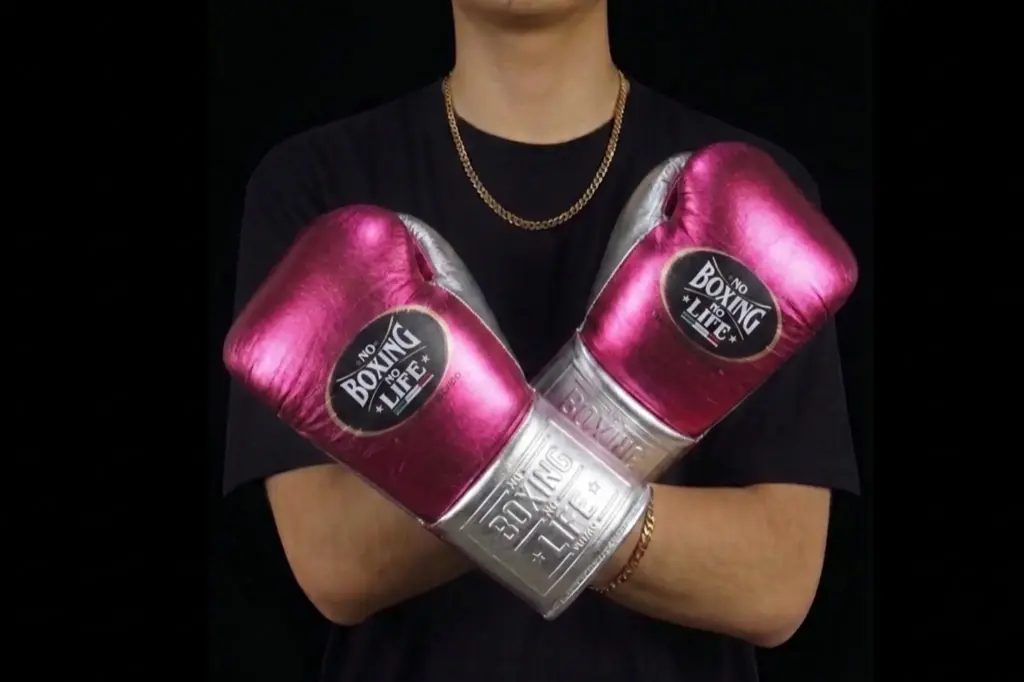 Boxing Gloves Fuchsia & Silver