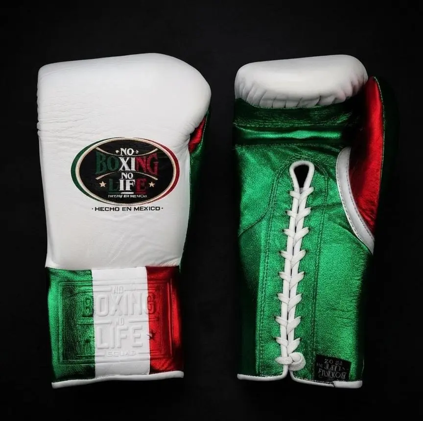 Boxing Gloves Tricolor 