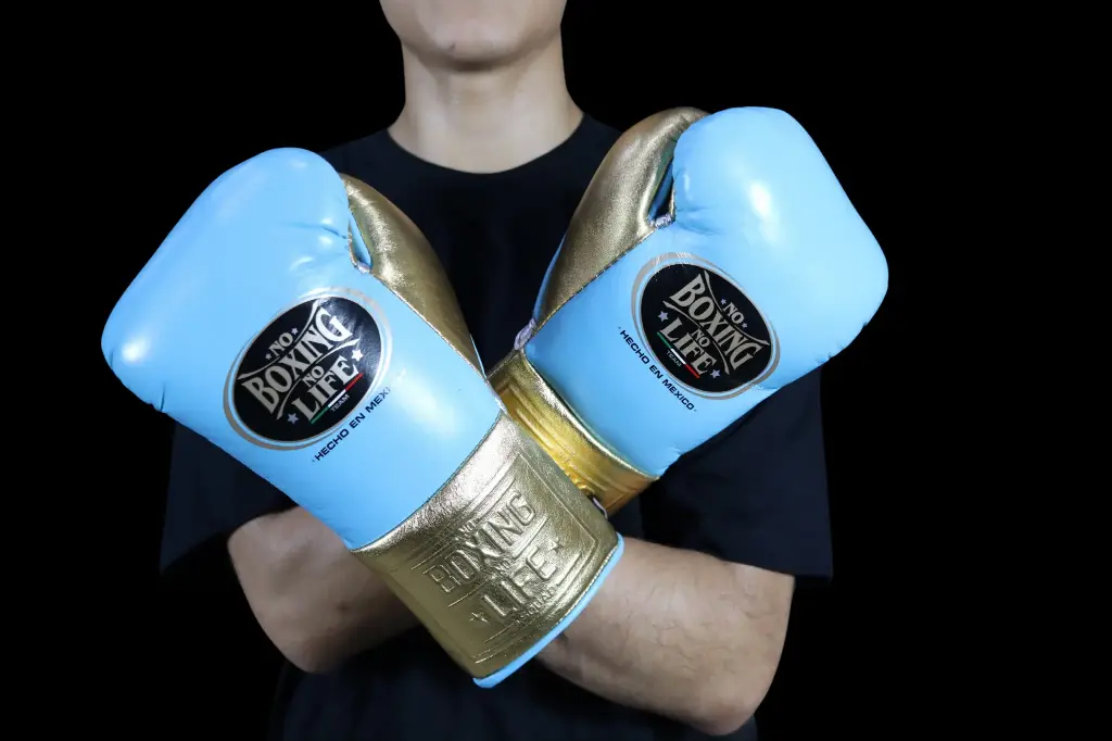 Boxing Gloves Blue Heaven