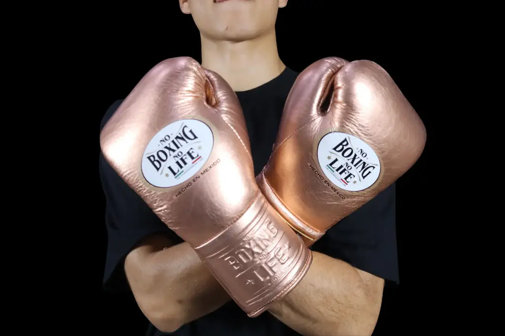 Boxing Gloves Rose Bronze