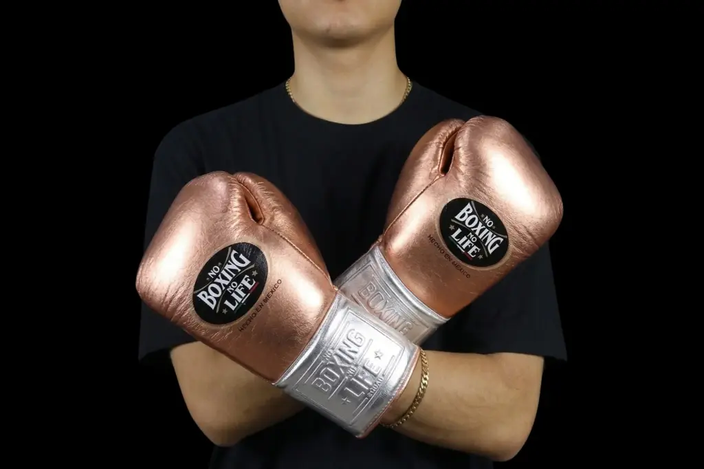 Boxing Gloves