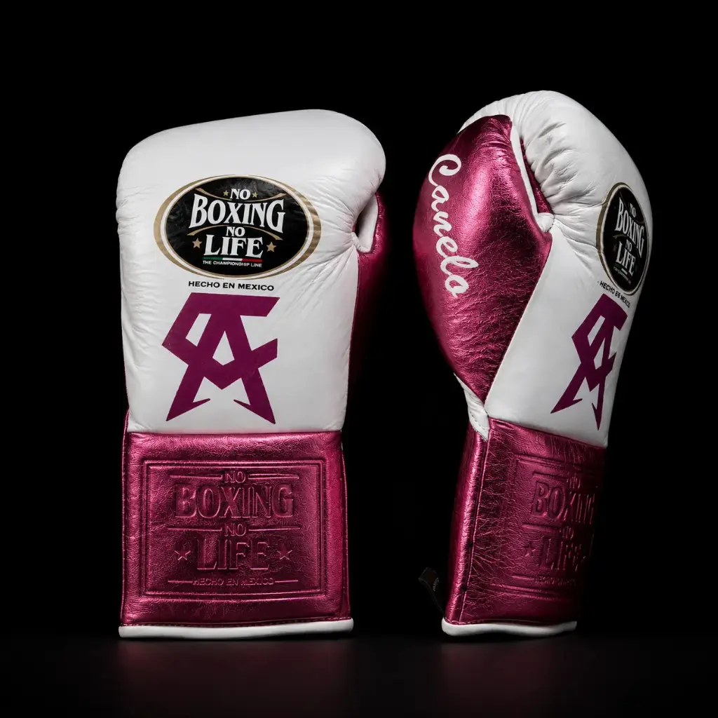 Canelo Álvarez — Bivol Fight Edition
