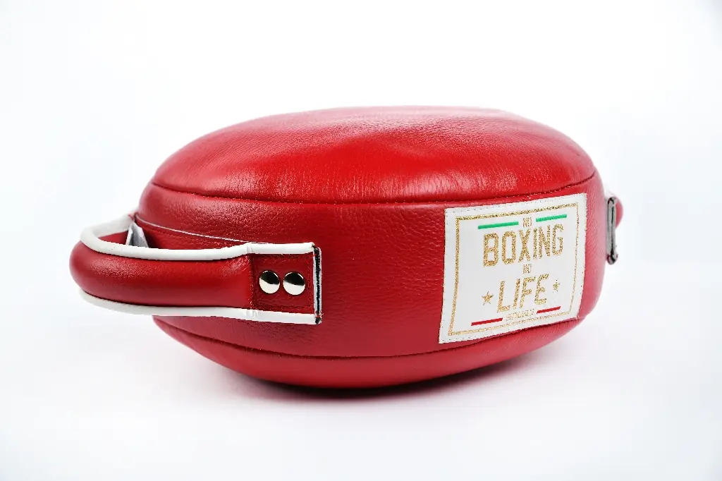 Punch Shield – No Boxing No Life