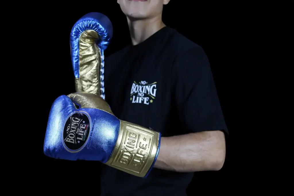 Boxing Gloves 8 oz – No Boxing No Life