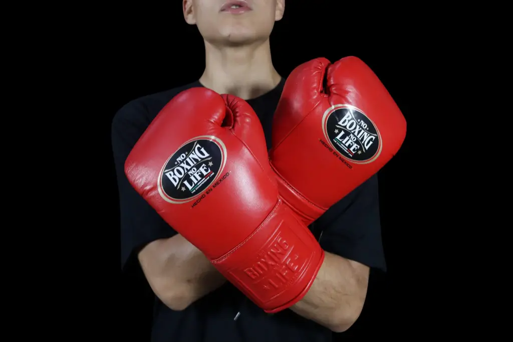 Boxing Gloves 10 oz – No Boxing No Life