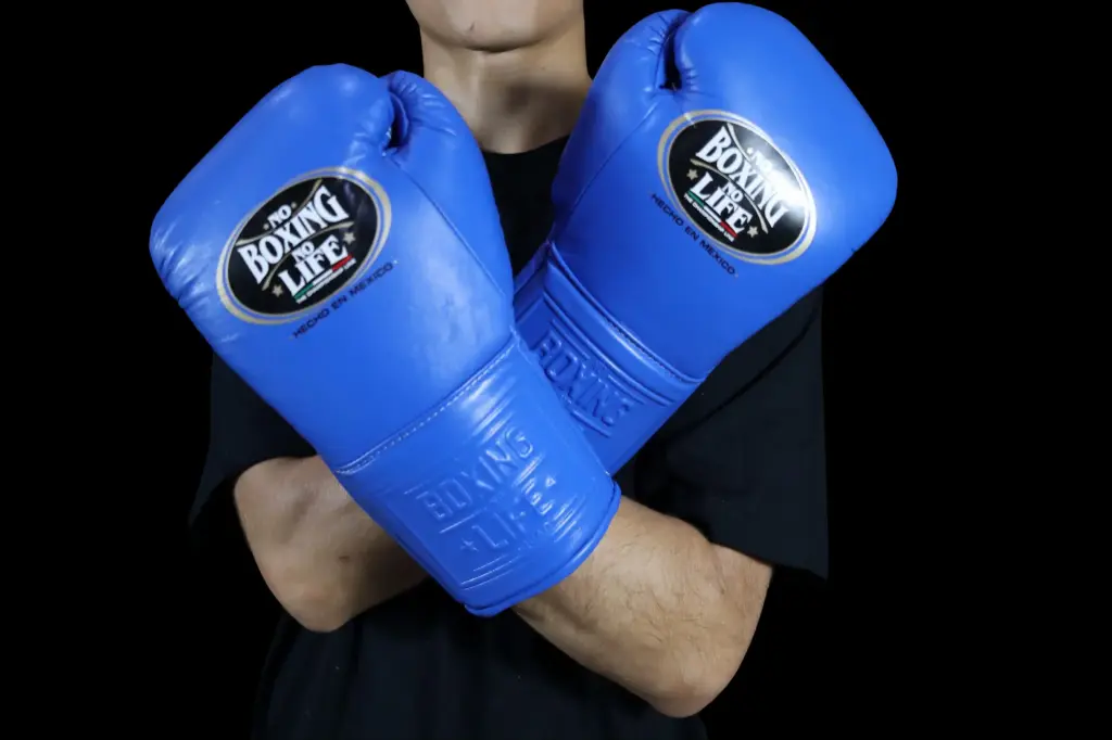 Boxing Gloves 14 o – No Boxing No Life