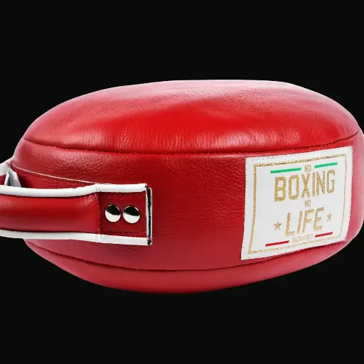 Punch Shield – No Boxing No Life