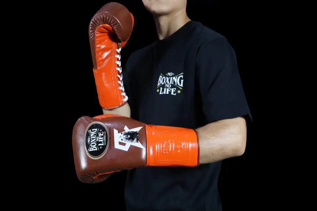 Boxing Gloves – Canelo vs. Berlanga Special Edition | No Boxing No