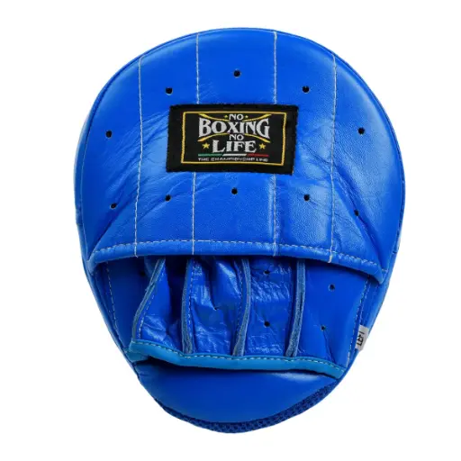 Leather Mitts – No Boxing No Life