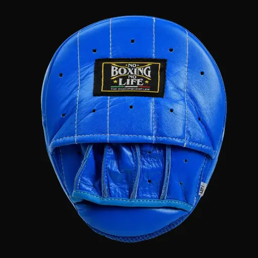 Leather Mitts – No Boxing No Life