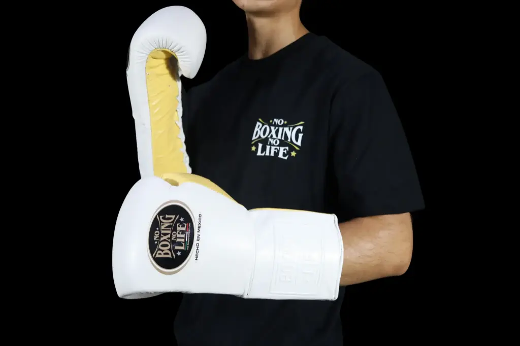Boxing Gloves 16 oz – No Boxing No Life