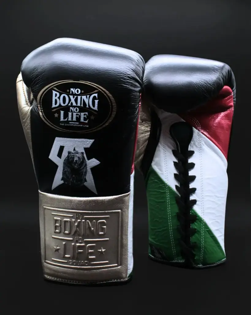 Boxing Gloves – Canelo vs. Crawford Special Edition | No Boxing No