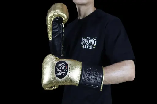 Metallic Dual 10 oz - Guantes Para Pelea 